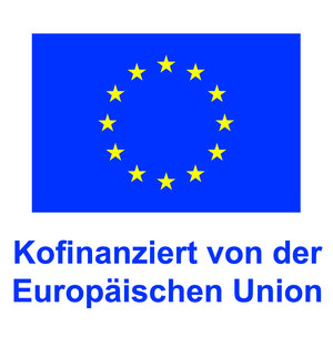 EU_Logo_mit_Schriftzug_rdax_300x304_87s